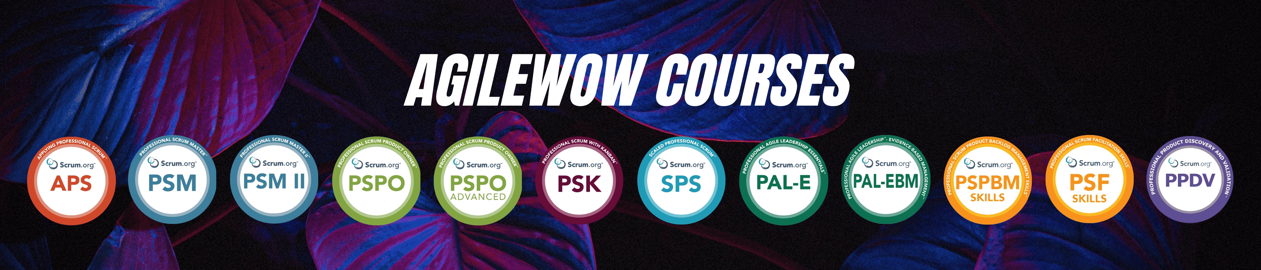 AgileWOW services